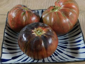 Marsha's Starfighter Beefsteak paradicsom, Lycopersicum esculentum, paradicsom